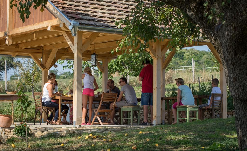 Hotel Edenkert Vendeghazak Pécsvárad Exteriér fotografie