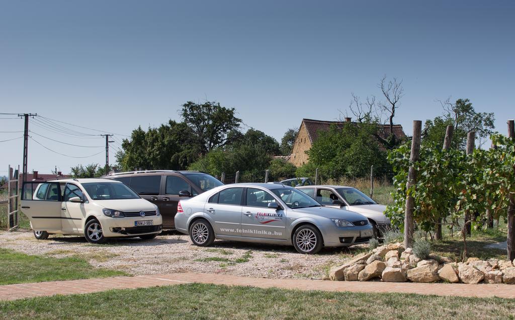 Hotel Edenkert Vendeghazak Pécsvárad Exteriér fotografie