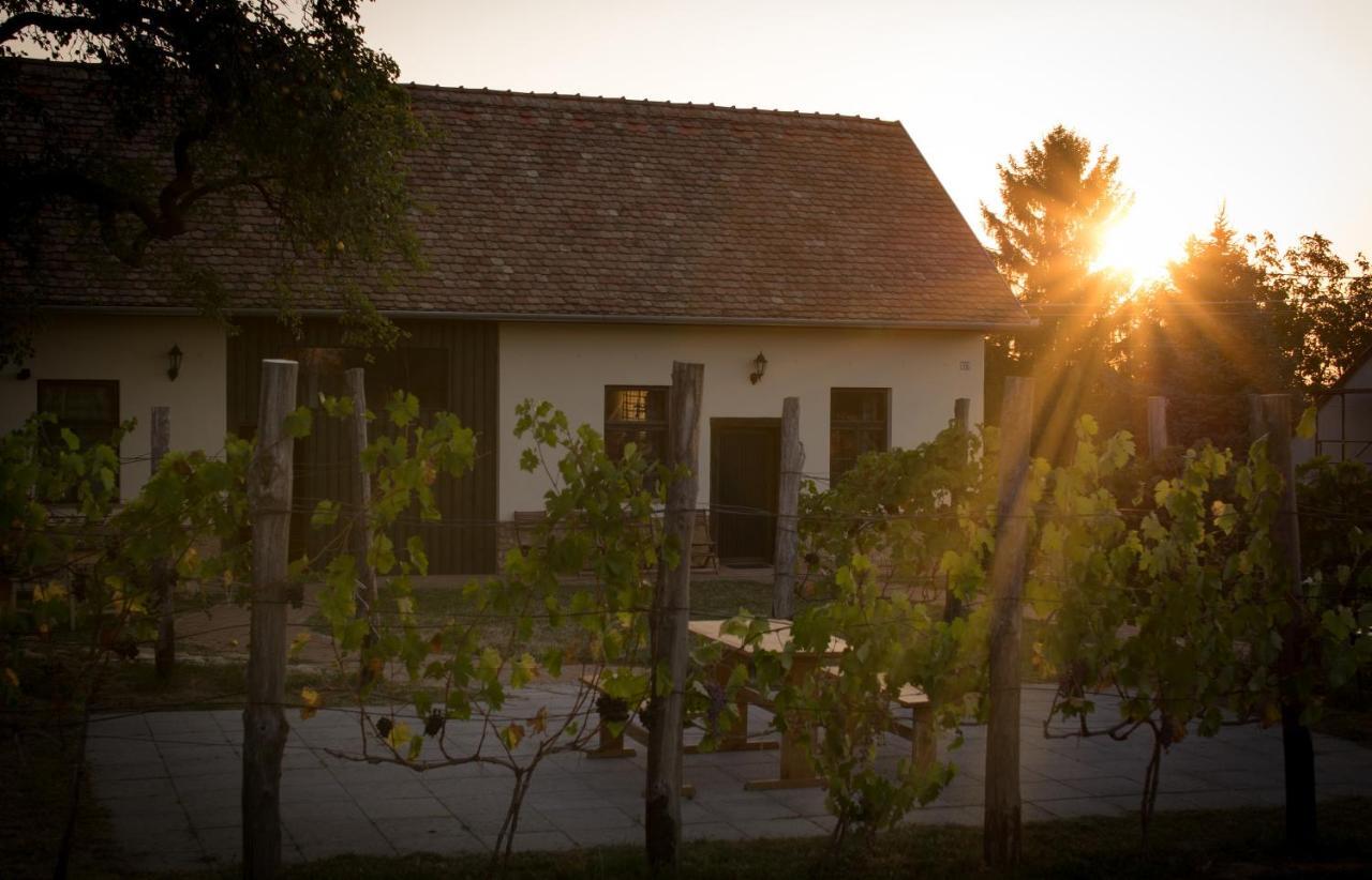 Hotel Edenkert Vendeghazak Pécsvárad Exteriér fotografie
